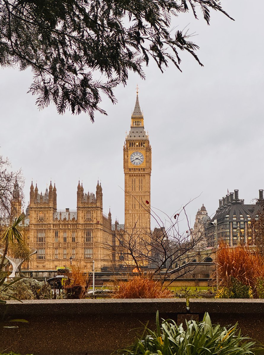 Gavin Joynt tweet media