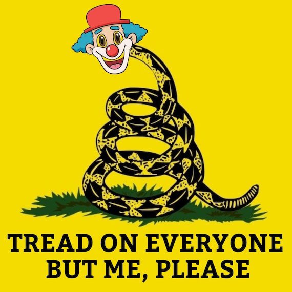 emotional support himbo tweet media