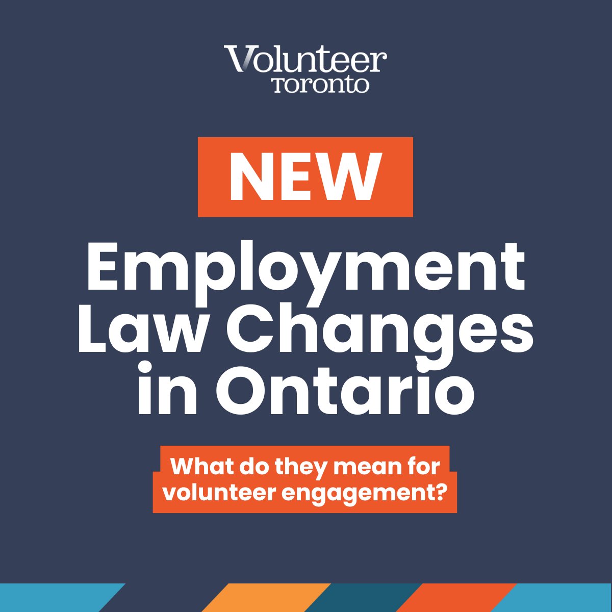 Volunteer Toronto tweet media