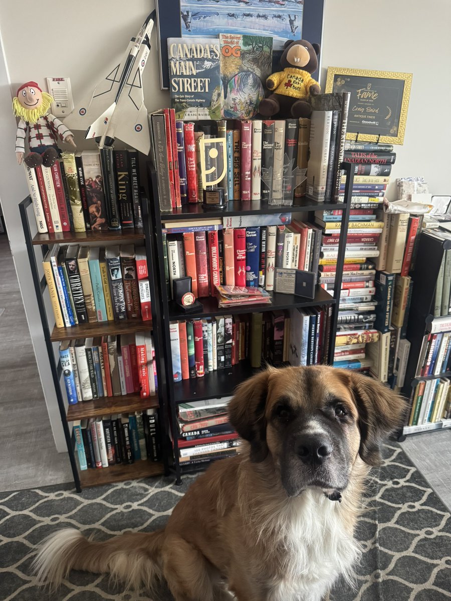 Craig Baird - Canadian History Ehx tweet media