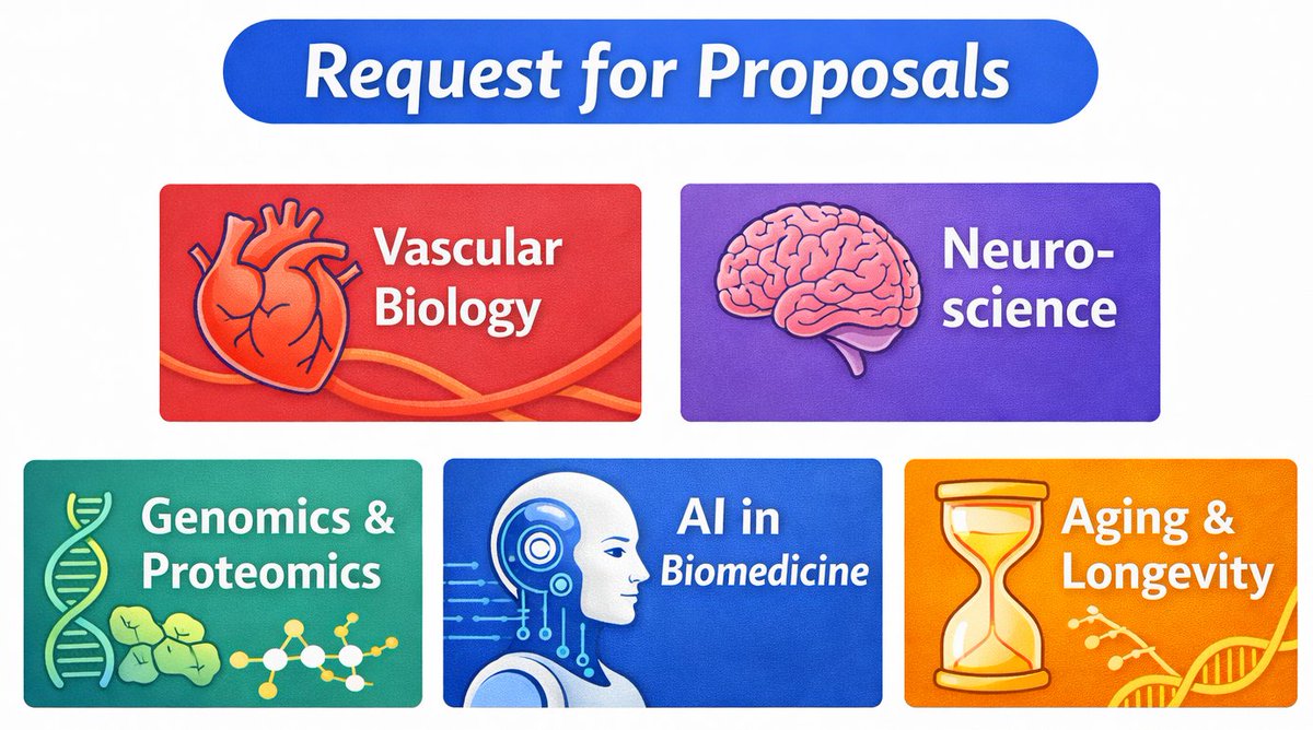 Ruslan Rust tweet media