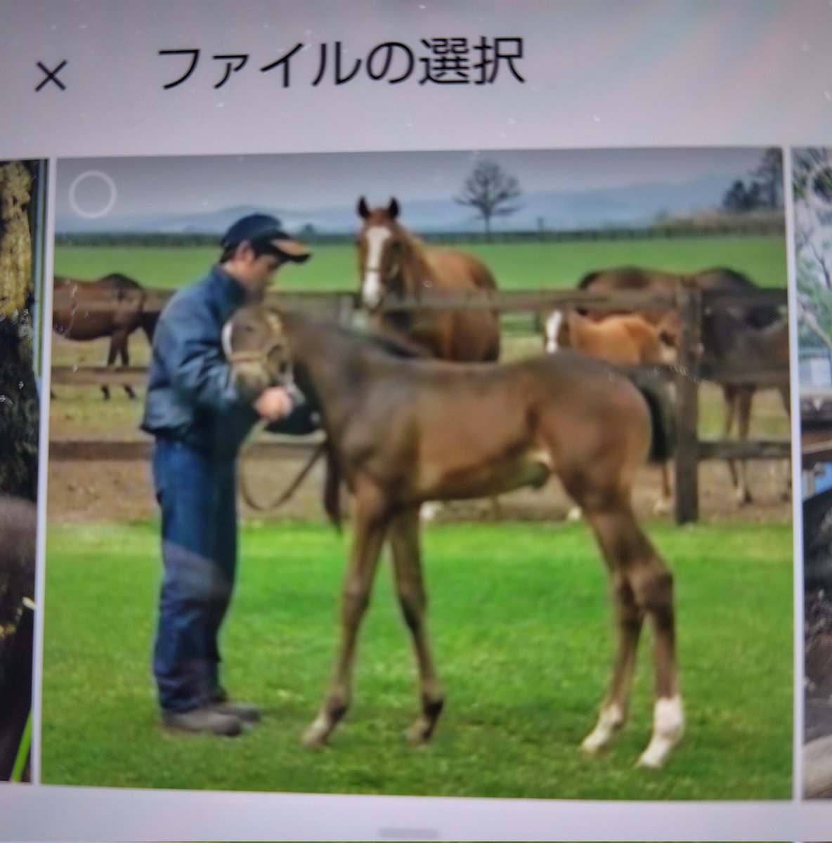 おゔしでぃあん (@ovsidian96) / Posts / X