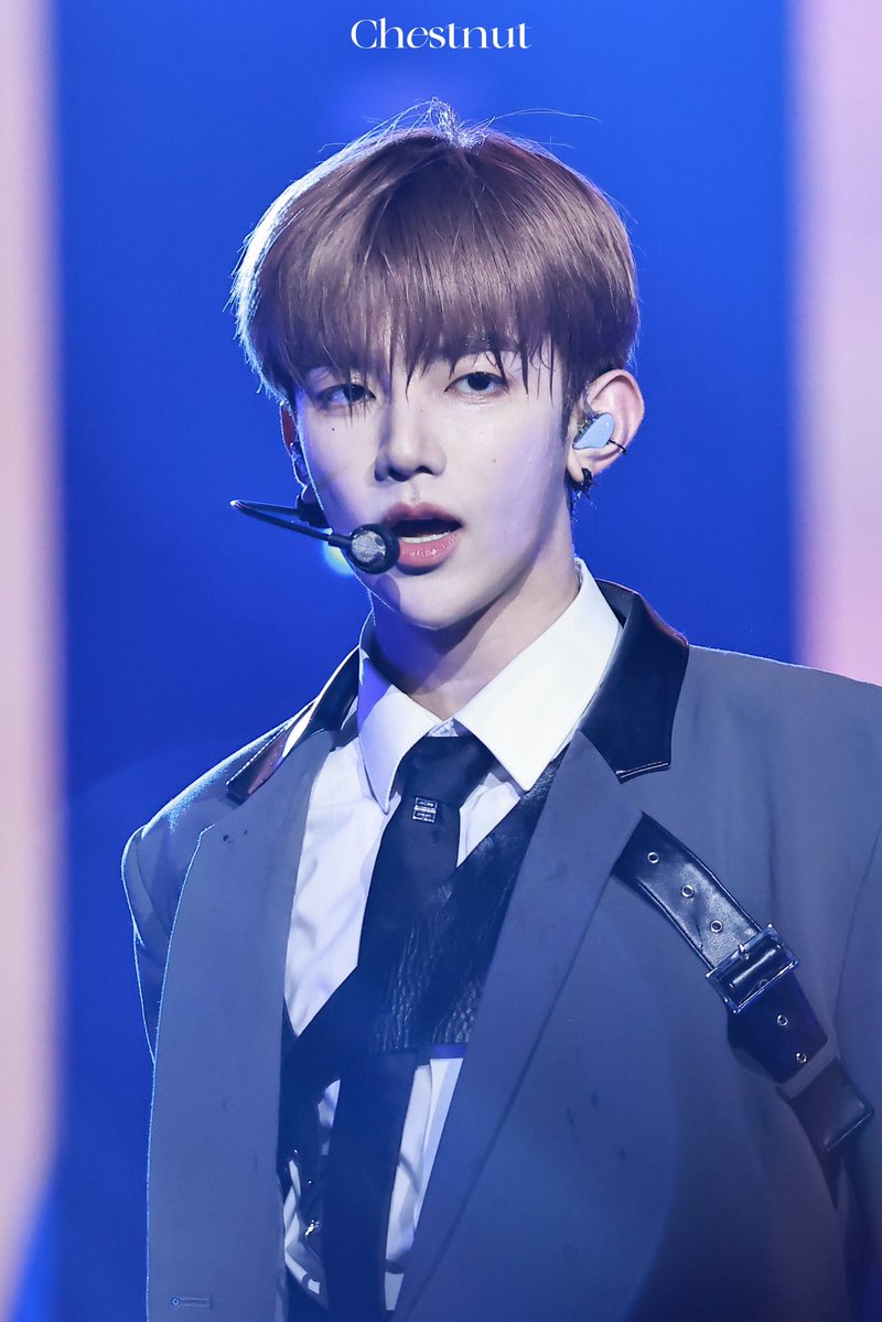 𝐂𝐡𝐞𝐬𝐭𝐧𝐮𝐭 tweet media