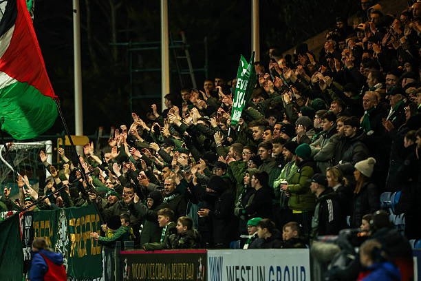 Scottish Supporters Collective tweet media