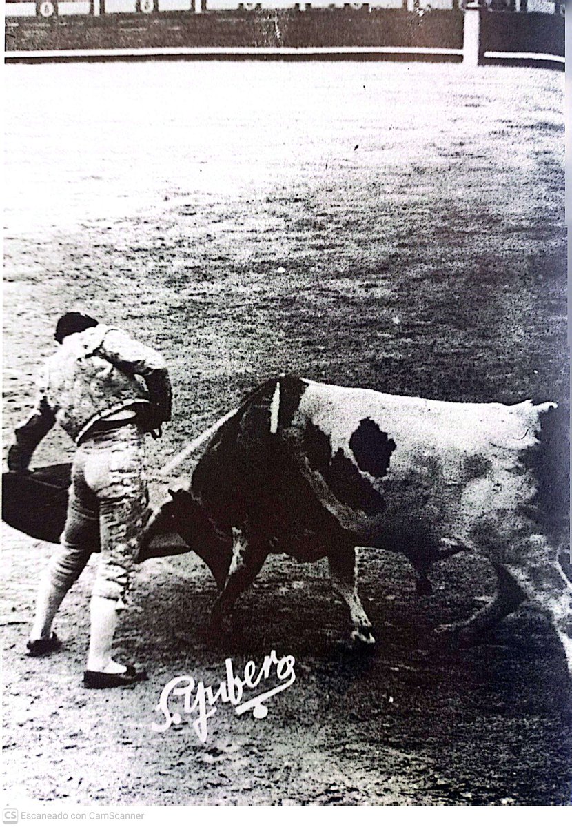 Pepote Bienvenida con un toro de Rogelio Miguel del Corral