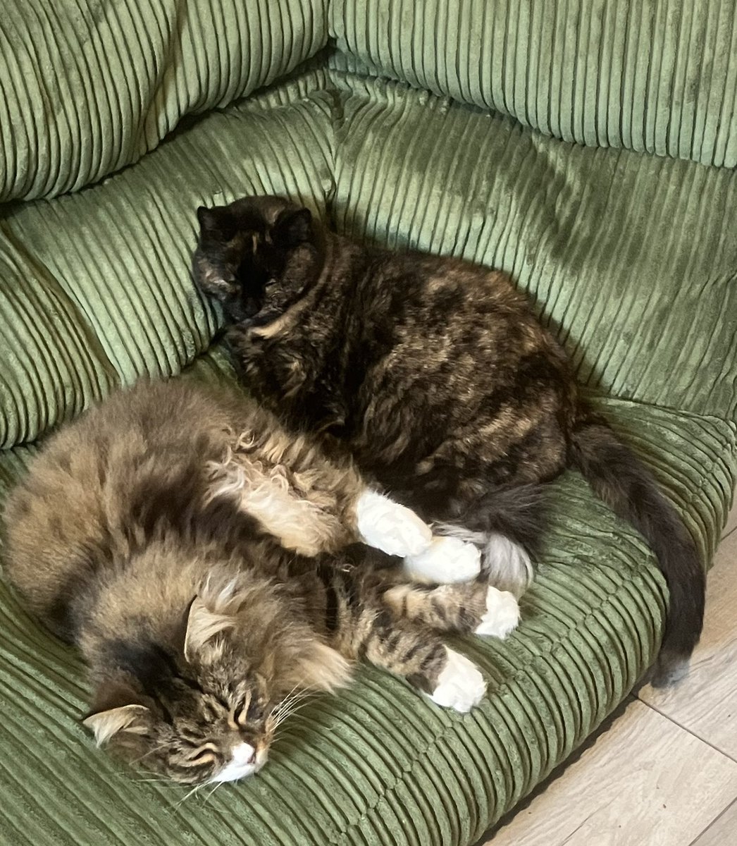 Helen Chen tweet media