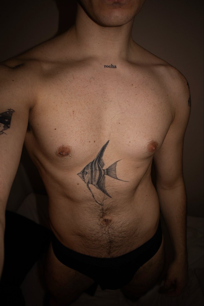 Pedro Rocha tweet media