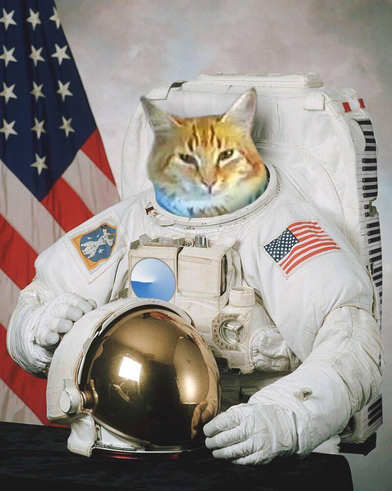 KeyboardCatReal's tweet image. The Keyboard Cat Vibe Show is Live Now! Tune in!
youtube.com/live/FRpgzGixu…