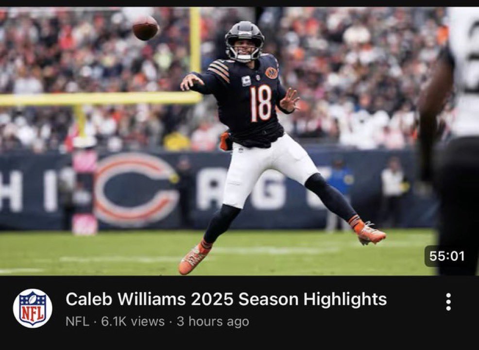 BearsShowYo tweet media