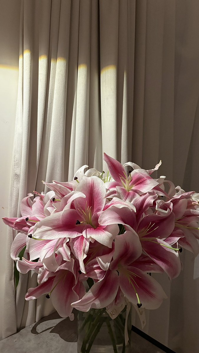 _rvxli's tweet image. 1 Day                                            12 Day