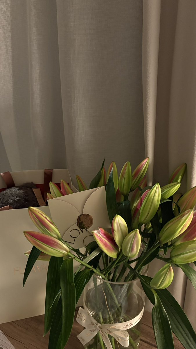 _rvxli's tweet image. 1 Day                                            12 Day