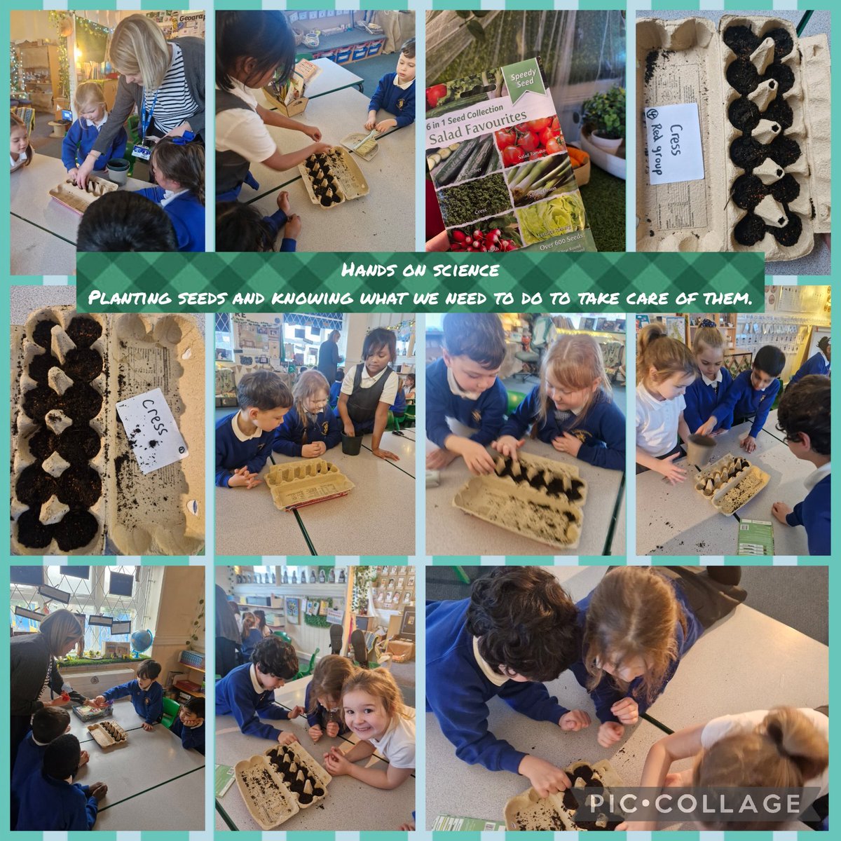 stjosephskly's tweet photo. Today Elder Class learnt how to care for plants and planted seeds of our very own in teams. To end the day we had an explore of our school outdoor area. We noticed that some plants are sleeping and lots of spaces for plants to be grown. π±π³ π π #sjkscience #sjkoutdoorlearning https://t.co/b7l4ZX0r2r