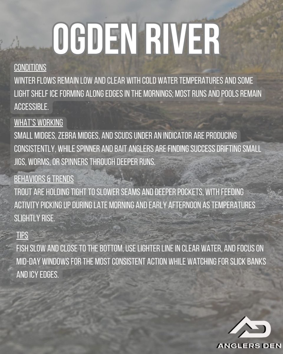 Anglers Den Utah tweet media