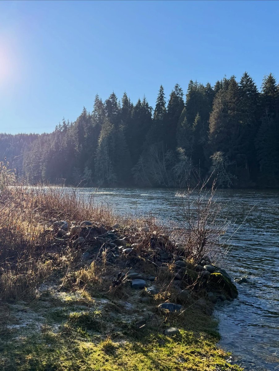 Randene Neill 🇨🇦 tweet media