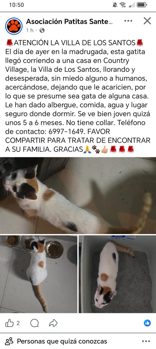 Nacelys González tweet media