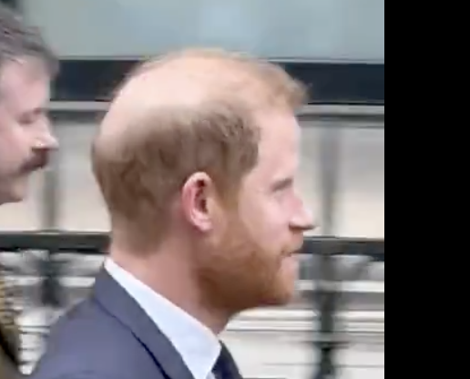 The Royal Rogue tweet media