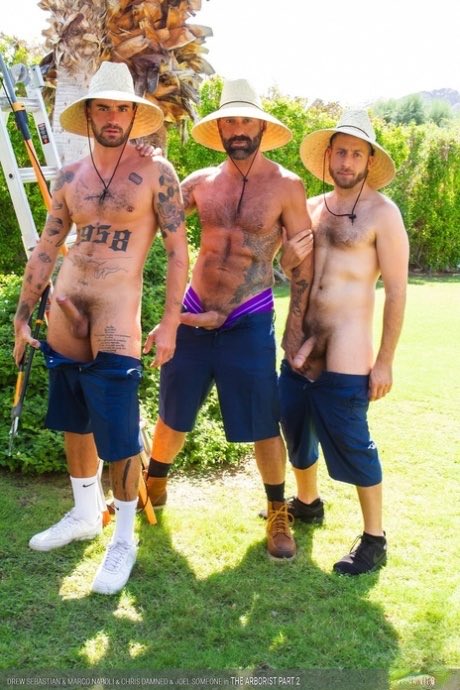 Stierbeidl (@stierbeidl) on Twitter photo 