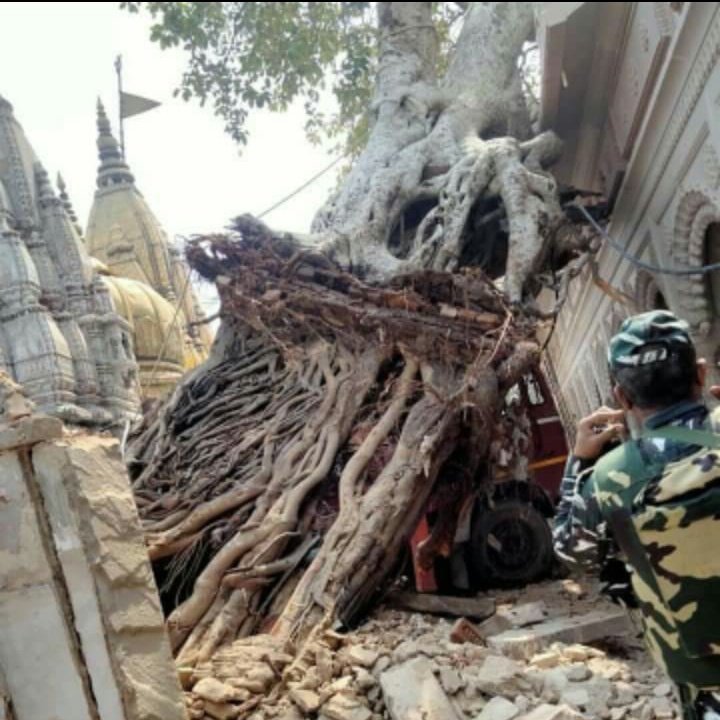 AtulFor's tweet image. #NewProfilePic