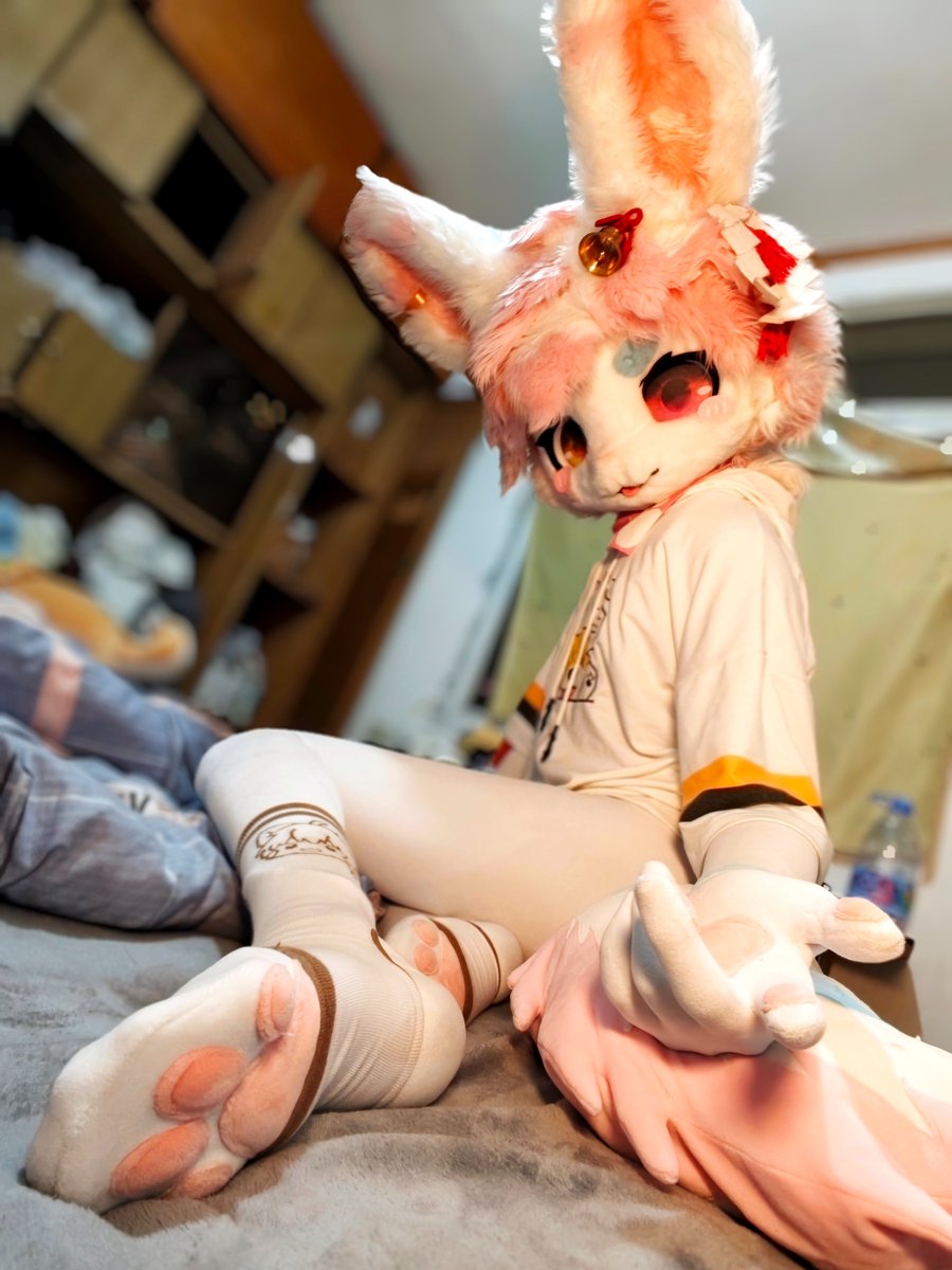 花信风WindXF🔜Hi furry（5.1—5.4） tweet media