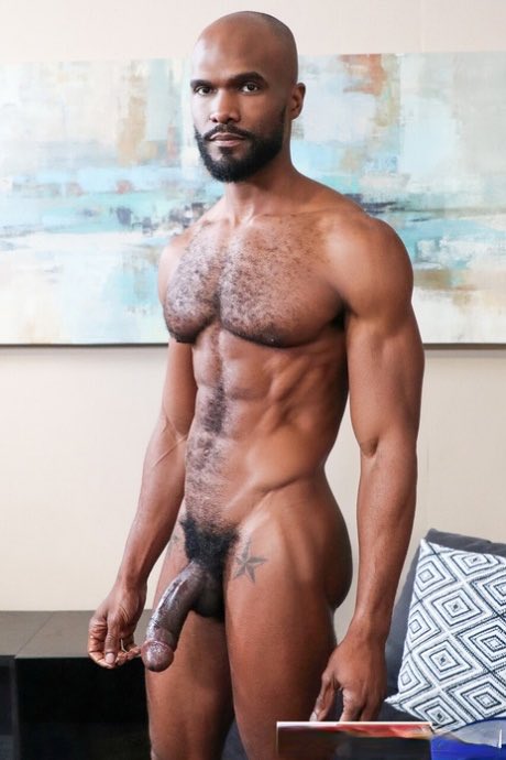 Stierbeidl (@stierbeidl) on Twitter photo 