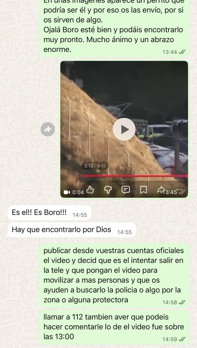 Karla6205852's tweet image. LA FAMILIA DE BORO CONFIRMA QUE ES EL DE ESTE VIDEO Y QUE HAY QUE ENCONTRARLO PORFAVOR AYUDAD A LA FAMILIA SE VIO POR ULTIMA VEZ SOBRE LAS 13:00 EN LA ZONA DE EL TREN!! #descarrilamiento #boro #Tren #perroperdido