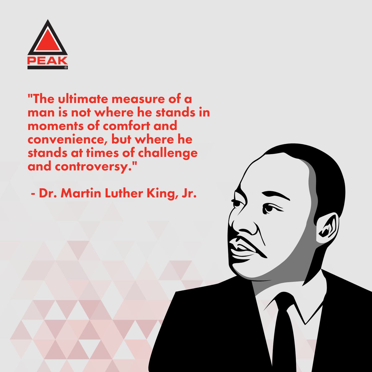 peaktechnical's tweet photo. Today, we pause to honor Dr. Martin Luther King Jr., a leader who challenged us to choose hope over fear and unity over division.

At PEAK, we strive to embody those values in how we support our clients, candidates, and communities. https://t.co/sOTY3HxafR