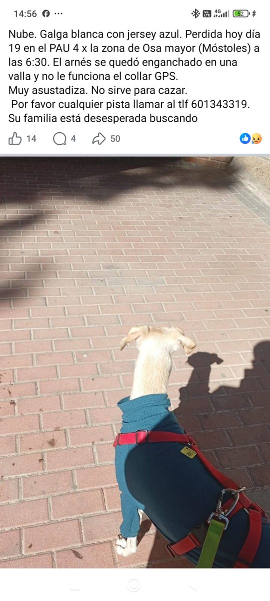 Vecinos Unidos por el PAU4 tweet media