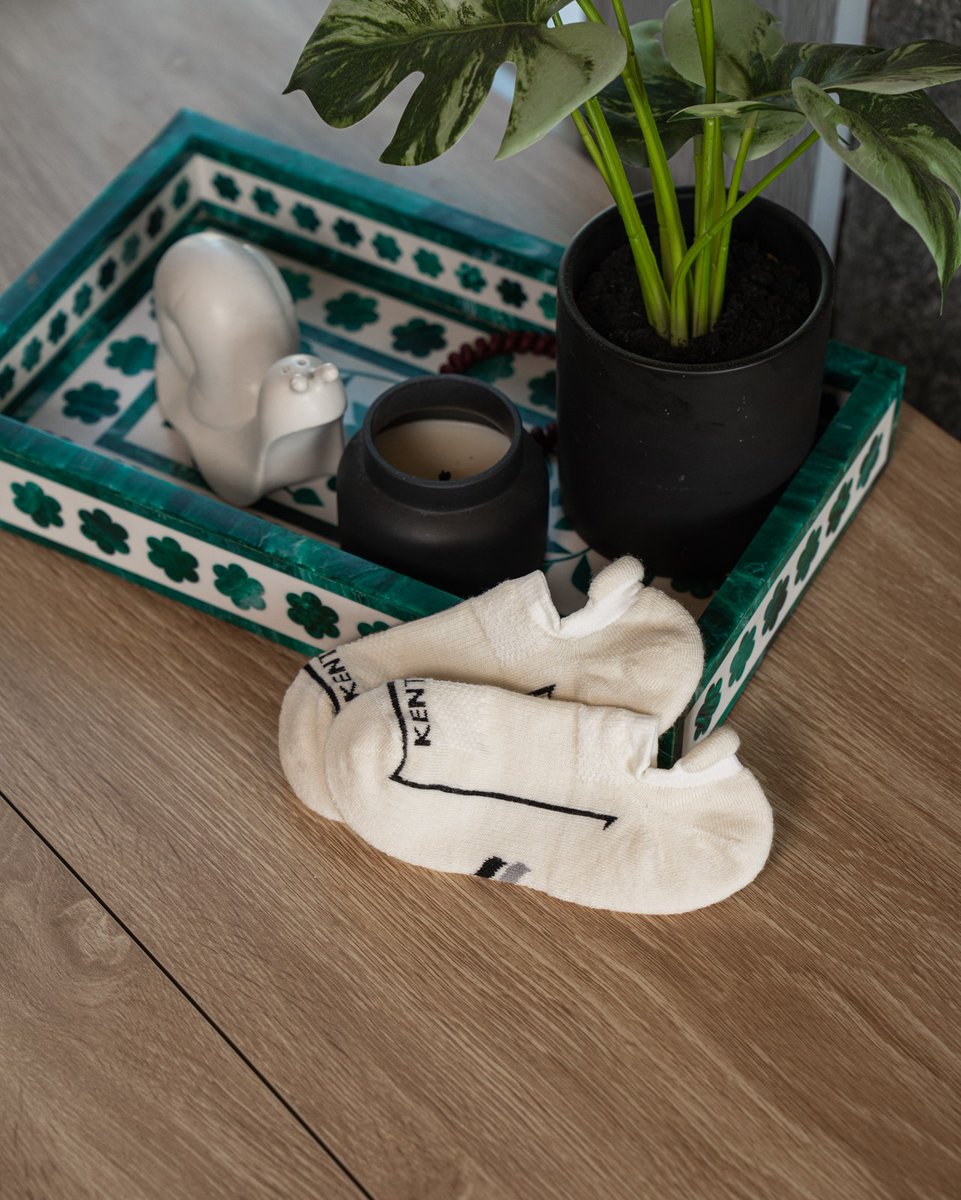 KENTWOOL tweet media