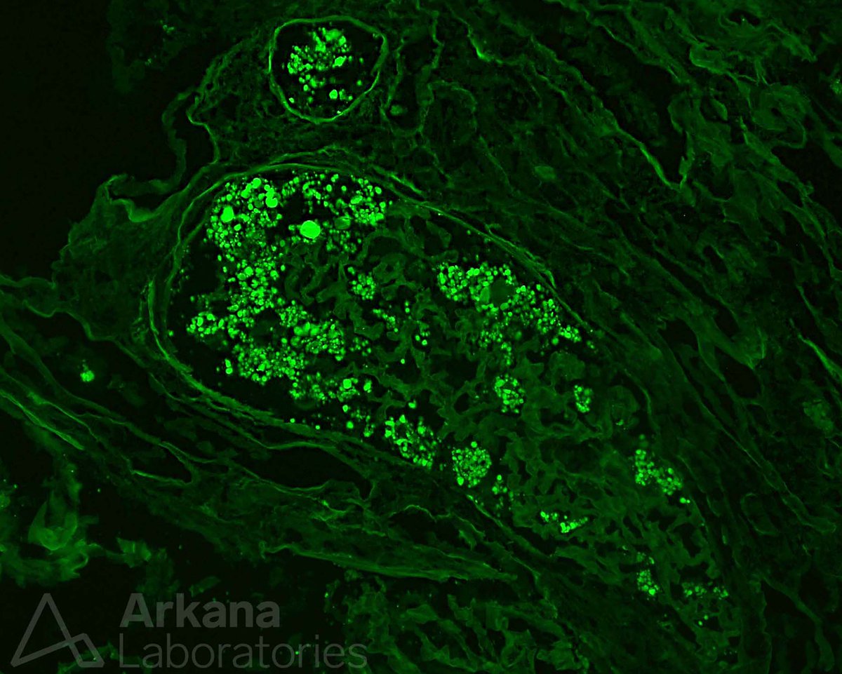 Arkana Laboratories tweet media