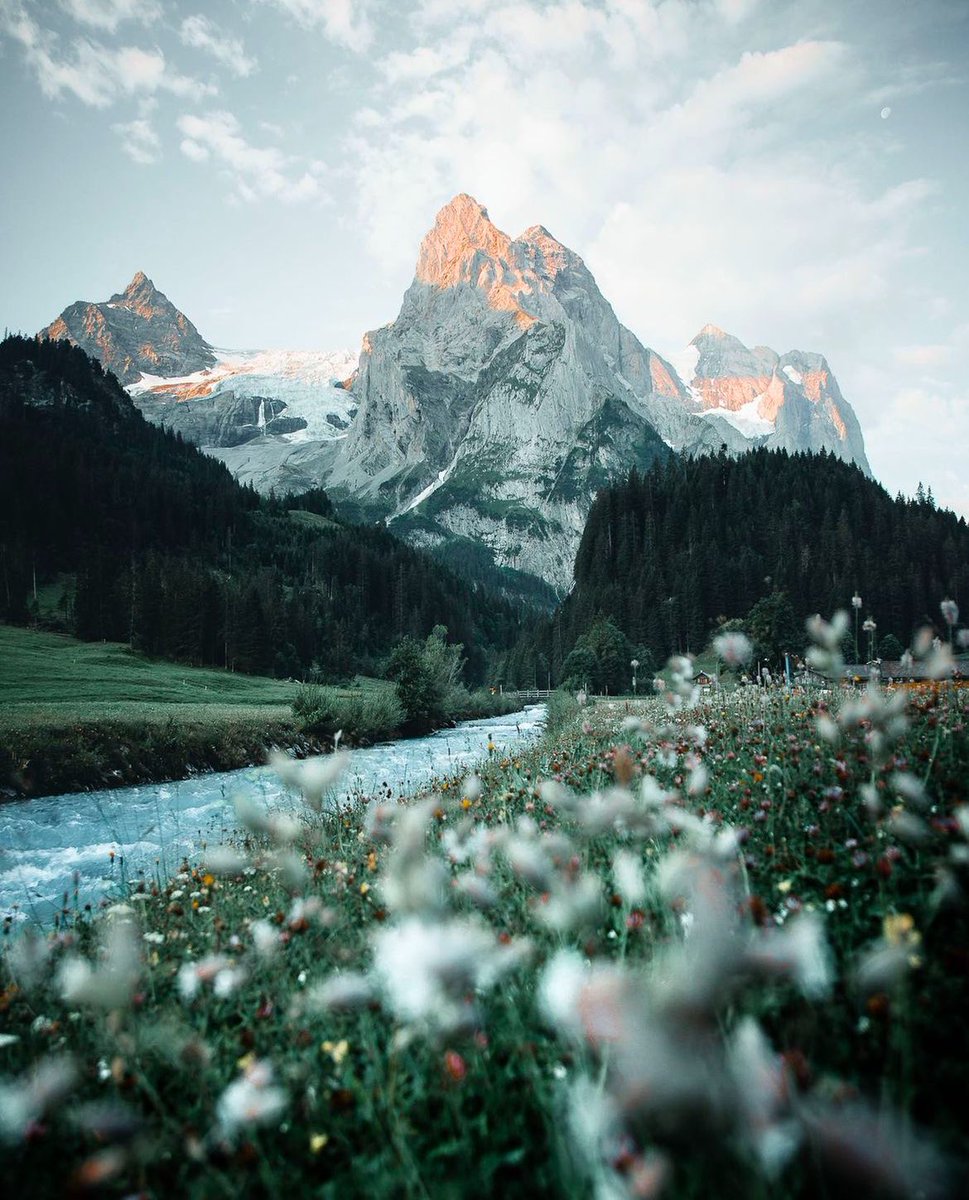 Bern, Switzerland 🍃