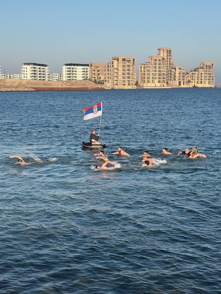Serbia in Denmark tweet media