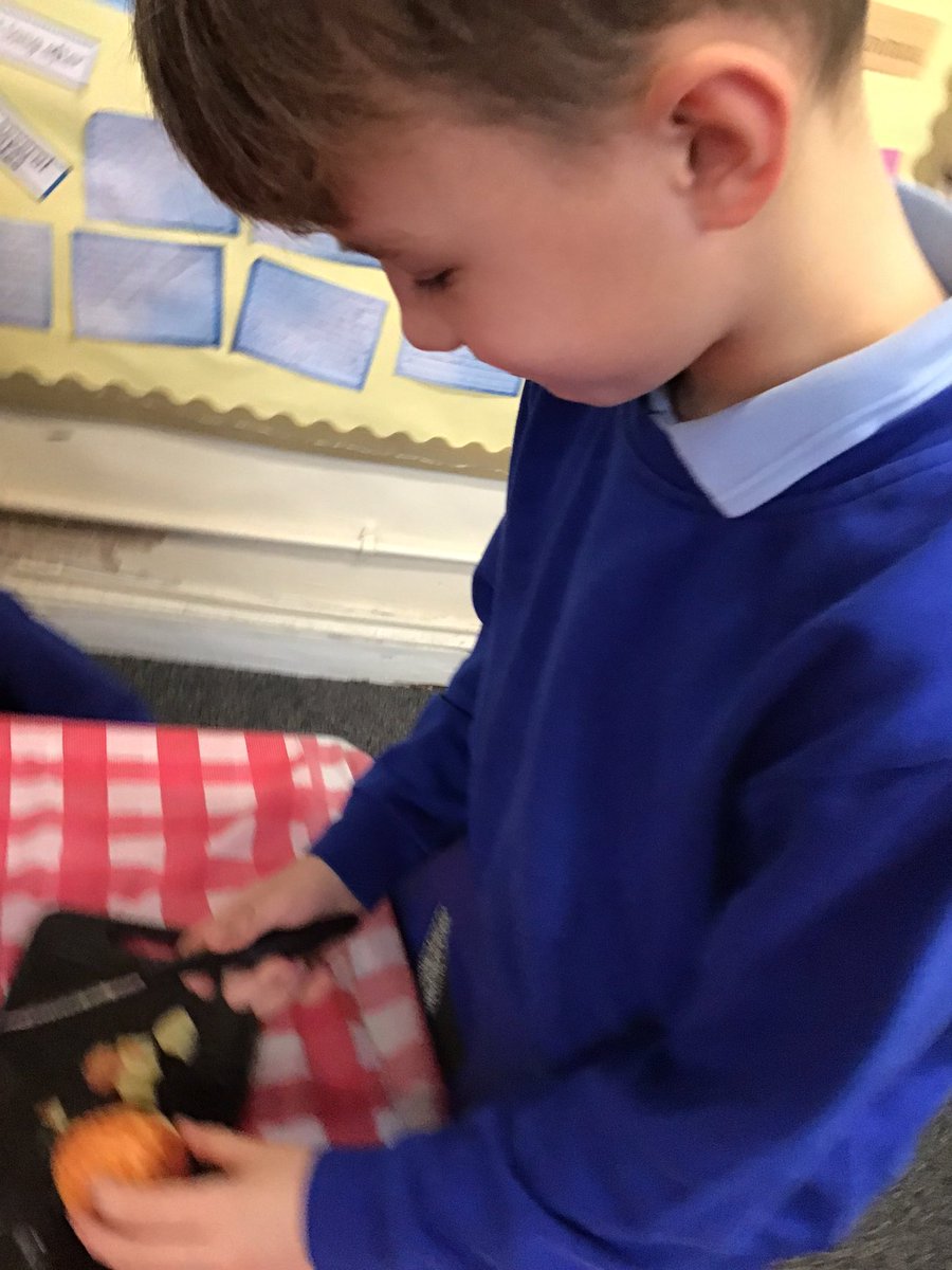 Team Horse Chestnut tweet media