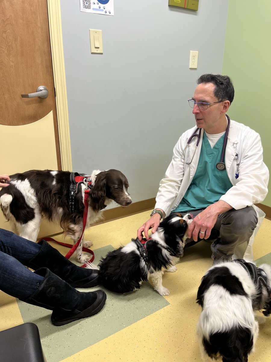 ABrittanyRescue's tweet photo. 🧡 Matt's Rescue Journey - Day 5 🧡 Matt was a rockstar at his first vet visit! 🤩 The best part about it? He got a clean bill of health! 🎉 He iwill start joint supplements and an exercise program to help ease his older joints. 

#MattsJourney #ABRFoster #SeniorsRock https://t.co/j1hqi37Wku