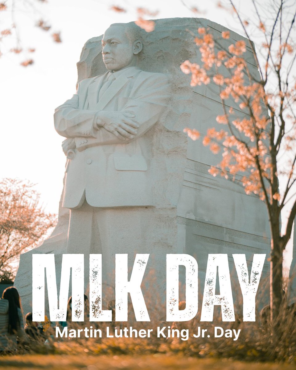 American Collegiate Academy tweet media