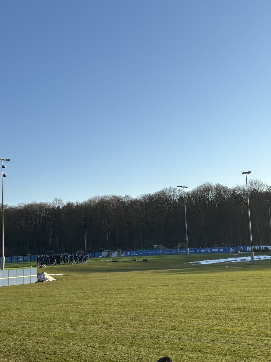 BILD Hamburger SV tweet media