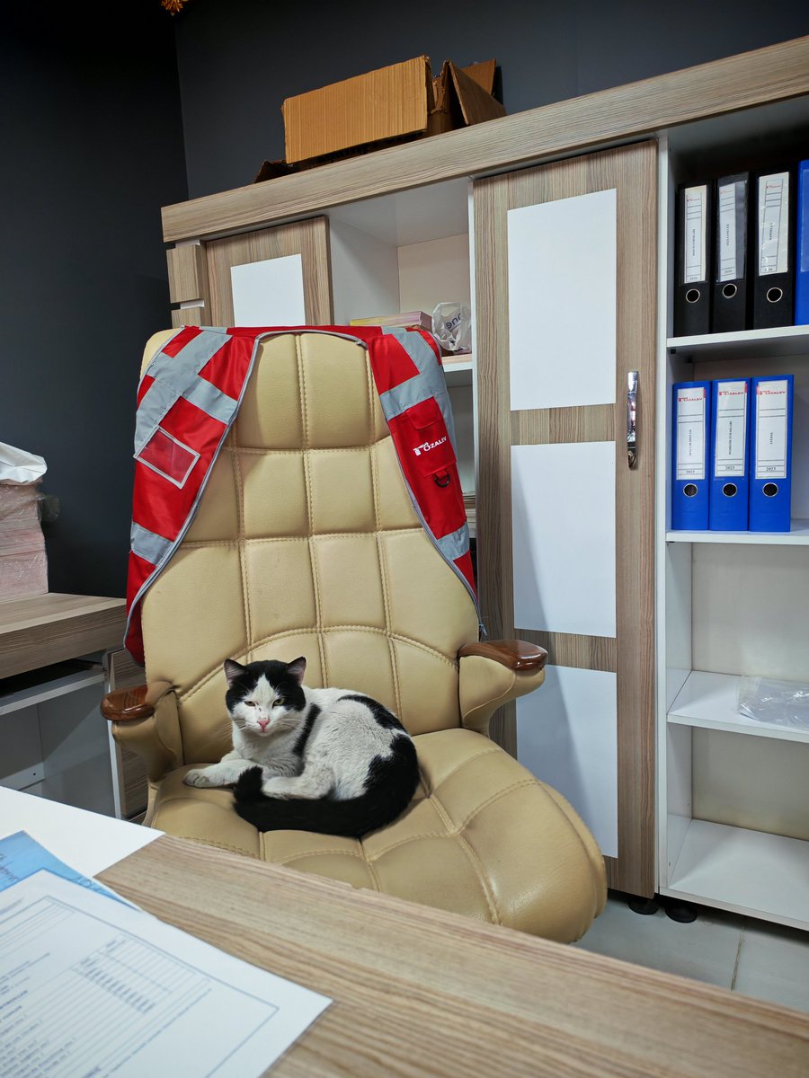 Bu karda kışta bizi evden çalıştırmayıp dükkana çağıran acımasız patronumuz.