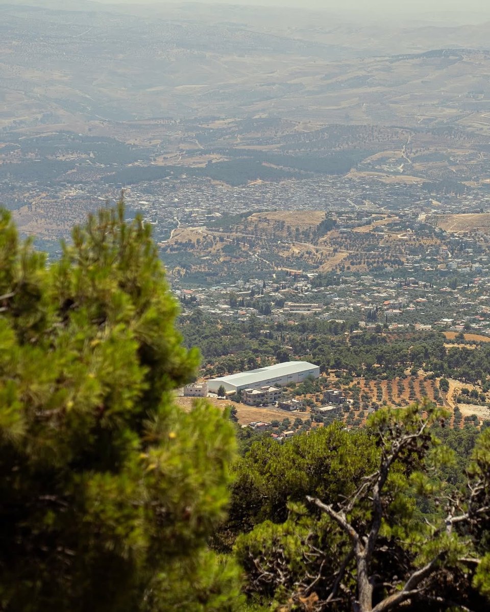 Suhib Alkhaldi tweet media