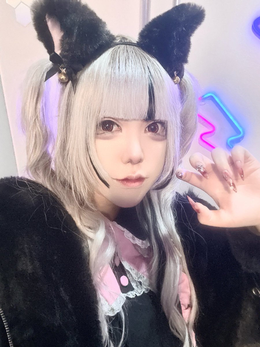 久しぶりに猫ちゃんおきゅいん