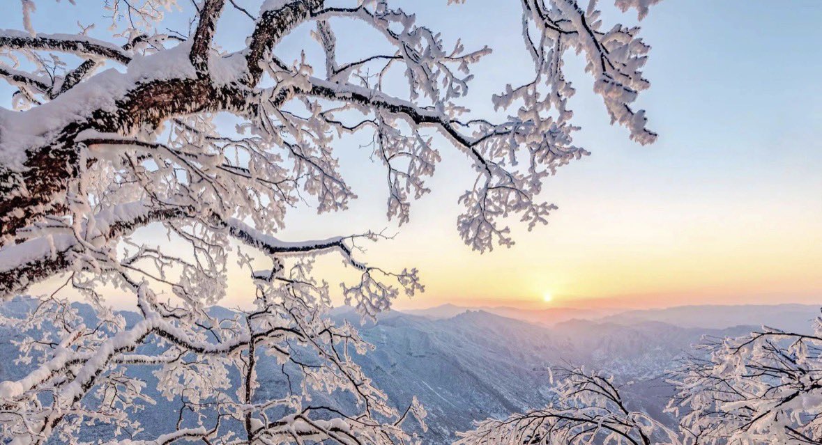 Happy Lee🇨🇳(互fo) tweet media