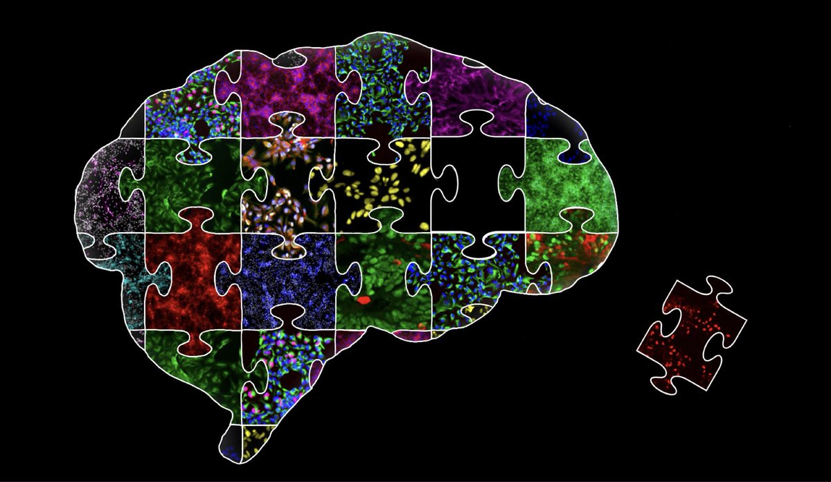 Young-Pearse Lab tweet media