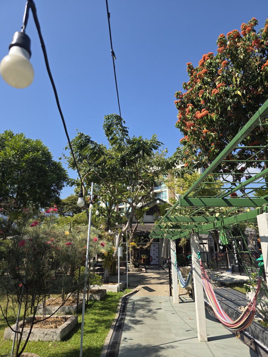 Tawan_V's tweet image. เหมือนไม่ได้มาใช้ชีวิตที่เชียงใหม่นาน กลับมาครั้งนี้มีความสุขมากๆ ได้กลับมานอนในห้องย่า ดื่นมาเดินเล่นในสวน สูดอากาศดีๆลมเย็นๆ กินอาหารแสนอร่อยฝีมือที่บ้าน ไปถ่ายซีรีส์โลเคชั่นอลังการ เสร็จแล้วไปกินของอร่อยกับเพื่อนๆ มีเวลานั่งชิลที่ร้านกาแฟคนเดียว ออกกำลังกาย ไหว้พระทำบุญ…