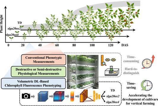 Plant Phenomics tweet media