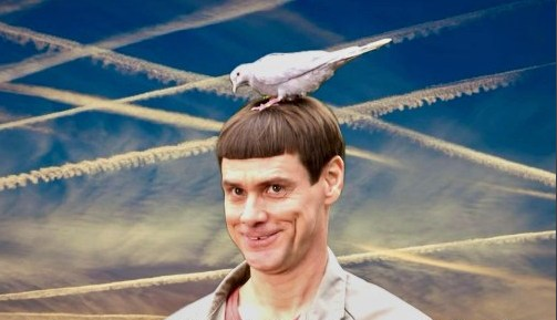 Koenig m.b. tweet media