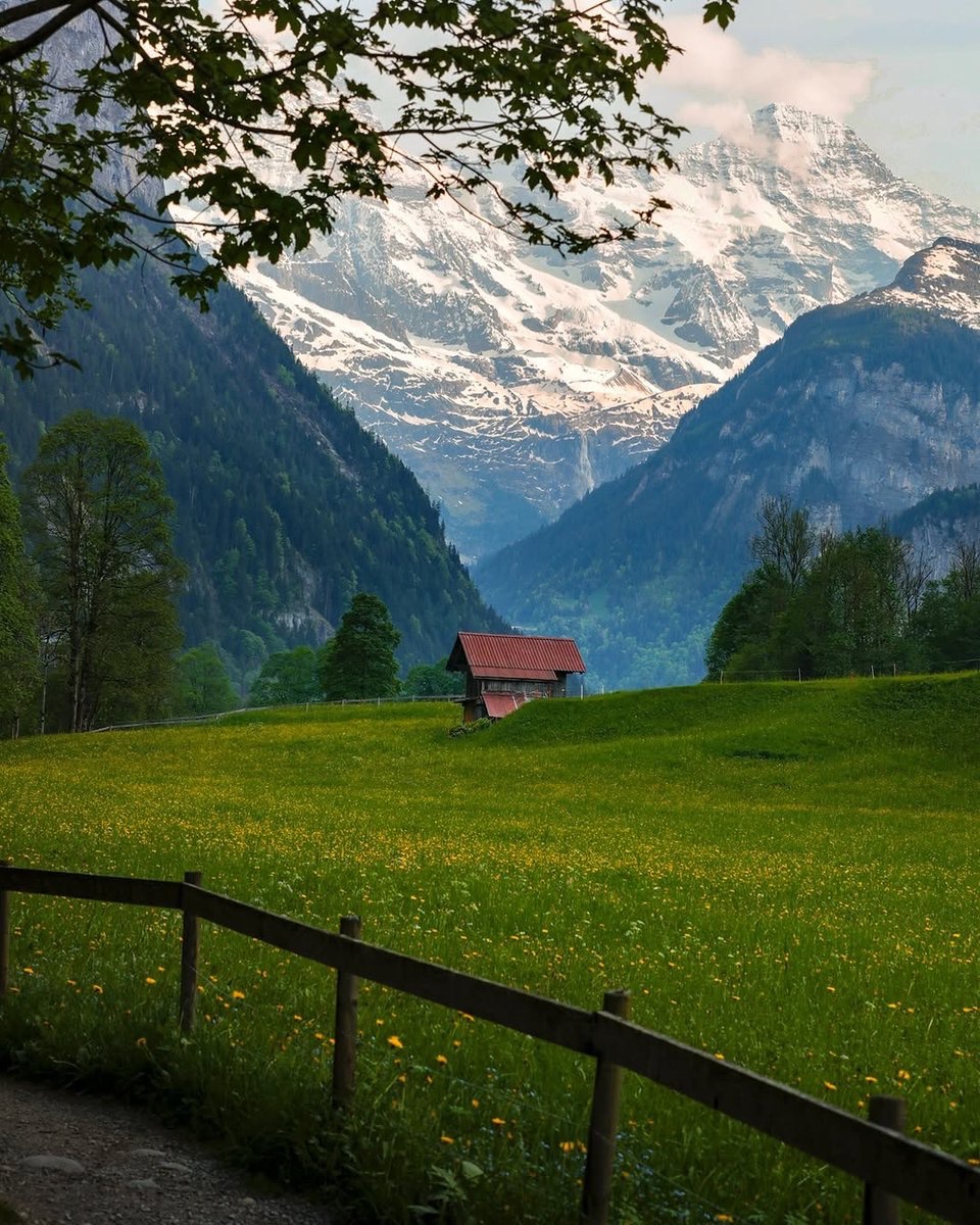 earthcurated's tweet image. — nature’s s masterpiece 🍃