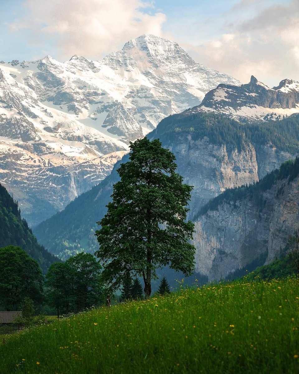 earthcurated's tweet image. — nature’s s masterpiece 🍃