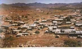 Adali 🌴 tweet media