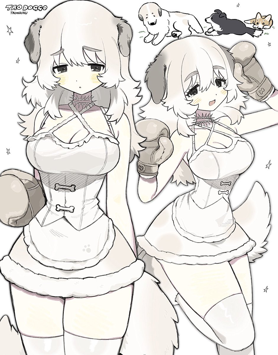 TAODOGGO tweet media