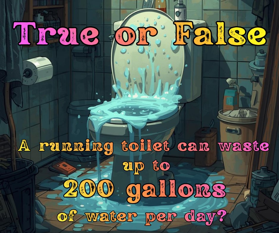 PLUMB PRO PLUS tweet media