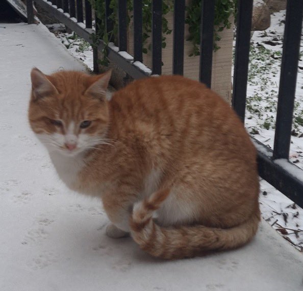 Cok rt alip yuva cikmayinca Sinasi gibi uzuluyorum :((( kalakaliyorum kisin ortasinda :((((