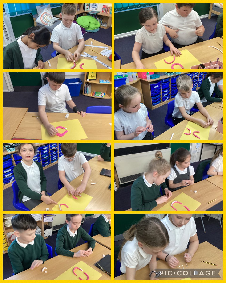 BaderPrimary's tweet photo. Y4R have been making systemic and careful observations to create a set of model teeth and label it in #BaderScience #RRSarticle29 😬🦷 https://t.co/XGD0XDNrpL